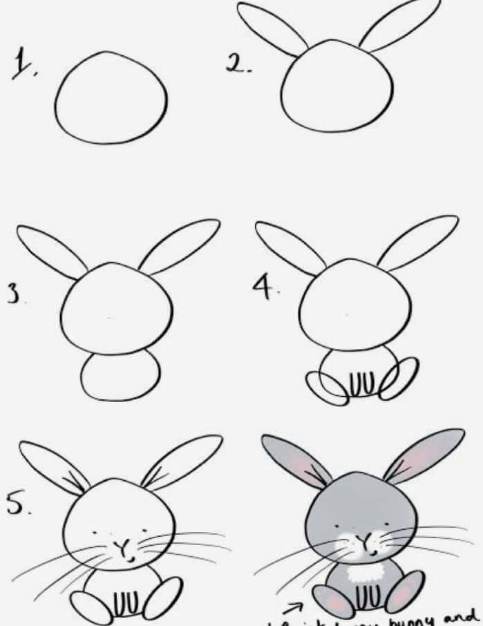 25 Easy Animal Drawings For Kids - fabbcraft